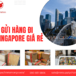 VẬN CHUYỂN ĐI SINGAPORE GIÁ RẺ