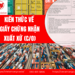 NHỮNG ĐIỀU CẦN BIẾT VỀ C/O