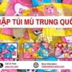 Nhập Túi Mù Trung Quốc Của VietAviation