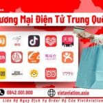 Các Sàn Thương Mại Điện Tử Trung Quốc Và Giải Pháp Order Hộ Hiệu Quả