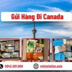 Dịch Vụ Gửi Hàng Đi Canada Của VietAviation