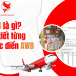 Vận Đơn Trong Xuất Nhập Khẩu Là Gì? Chức Năng Và Quy Định Liên Quan.
