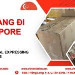 Gửi Hàng Đi Singapore Của VietAviation