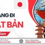 Gửi Hàng Đi Nhật Bản Của VietAviation
