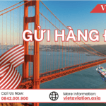 Gửi Hàng Đi Mỹ Bằng Đường Biển