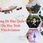 Gửi Hàng Đi Hàn Quốc Cho Du Học Sinh Tại VietAviation