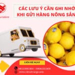 CÁC LƯU Ý CẦN GHI NHỚ KHI GỬI HÀNG NÔNG SẢN