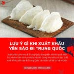 Lưu ý gì khi xuất khẩu yến sào đi Trung Quốc