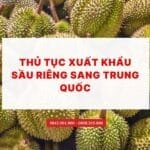 THỦ TỤC XUẤT KHẨU SẦU RIÊNG ĐI TRUNG QUỐC CẬP NHẬT