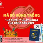Mã Số Vùng Trồng – “Hộ Chiếu” Xuất Ngoại Của Nông Sản Việt