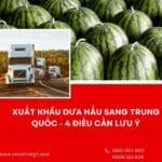 Xuất khẩu dưa hấu sang Trung Quốc – 4 điều cần lưu ý