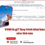 VGM là gì? Quy trình khai báo như thế nào