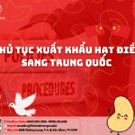 THỦ TỤC XUẤT KHẨU HẠT ĐIỀU SANG TRUNG QUỐC