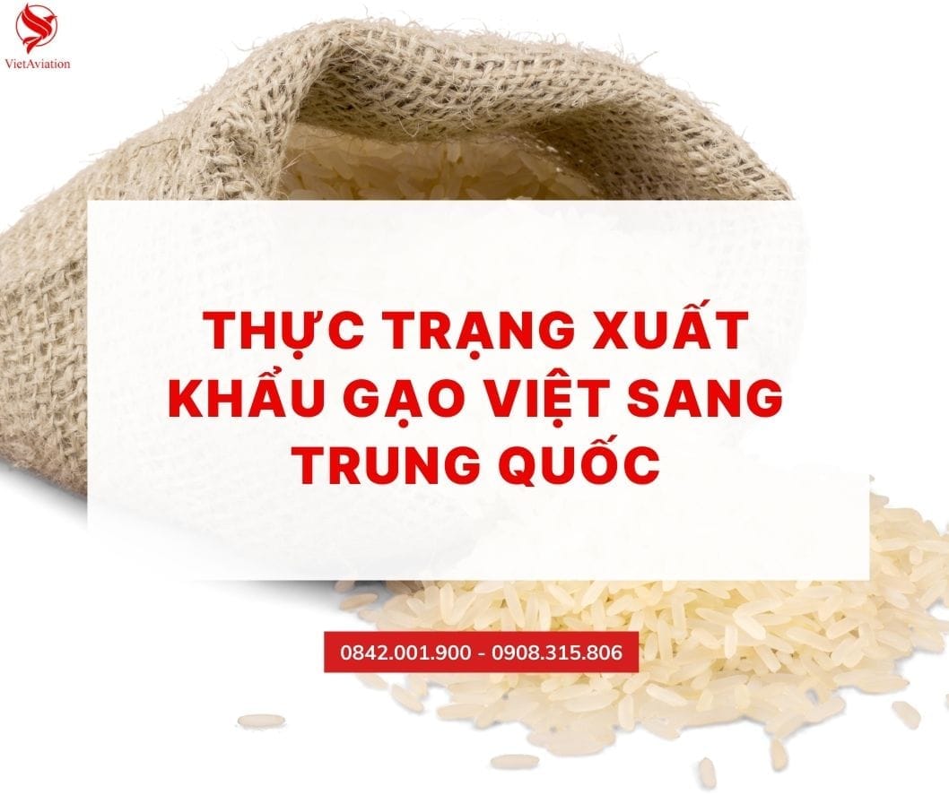 Thực trạng xuất khẩu gạo Việt sang Trung Quốc