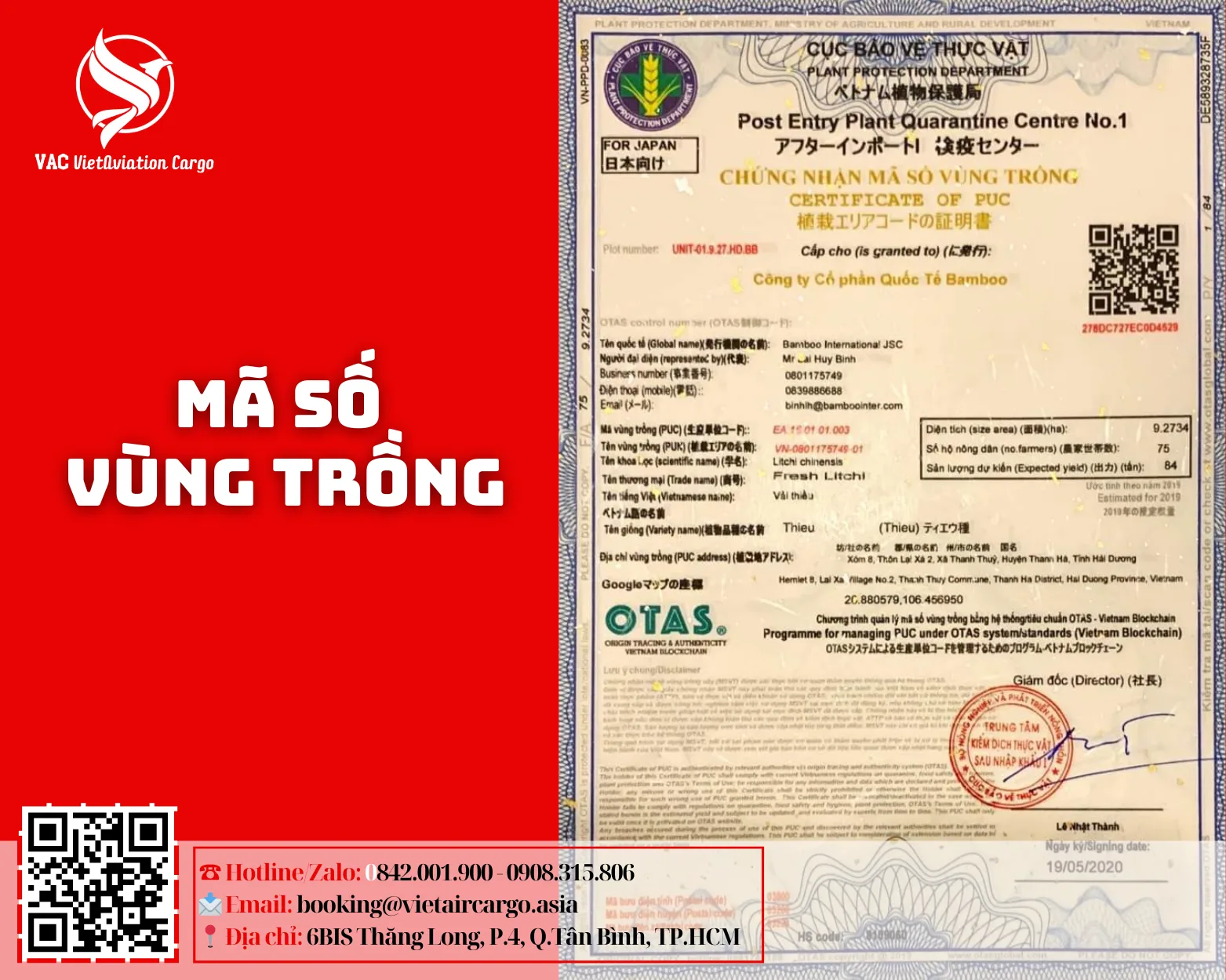 CÔNG CỤ TRA CỨU MÃ TỈNH MÃ HUYỆN MÃ XÃ HẢI DƯƠNG DỄ DÀNG VÀ CHÍNH XÁC