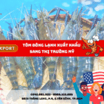 TÔM ĐÔNG LẠNH XUẤT KHẨU SANG THỊ TRƯỜNG MỸ