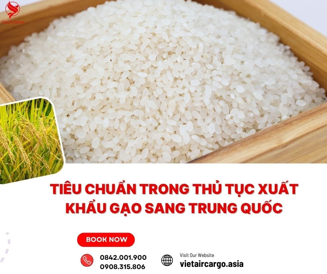 Tiêu chuẩn xuất khẩu gạo sang Trung Quốc