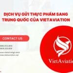 Gửi Thực Phẩm Đi Trung Quốc – Dịch Vụ Uy Tín, Chuyên Nghiệp Của VIETAVIATION