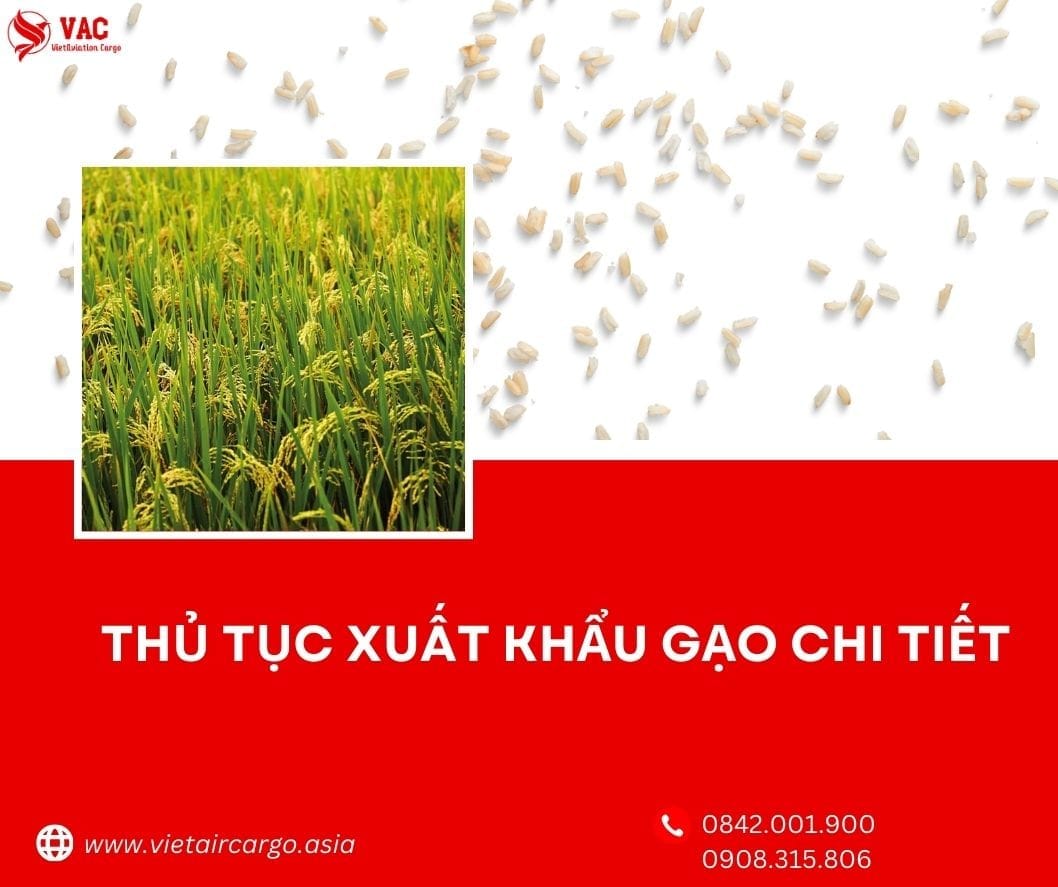 Thủ tục xuất khẩu gạo sang Trung Quốc