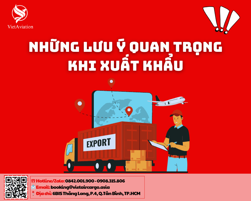 Những lưu ý quan trọng khi xuất khẩu hạt điều đi Trung Quốc