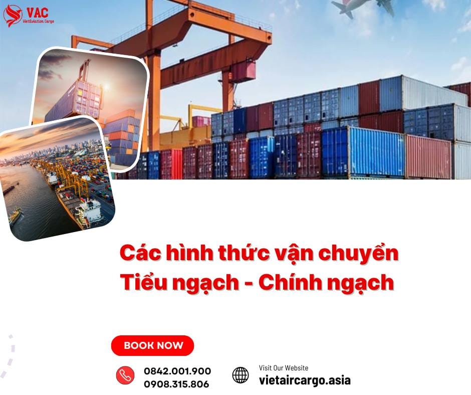 Hình thức vận chuyển thường thấy