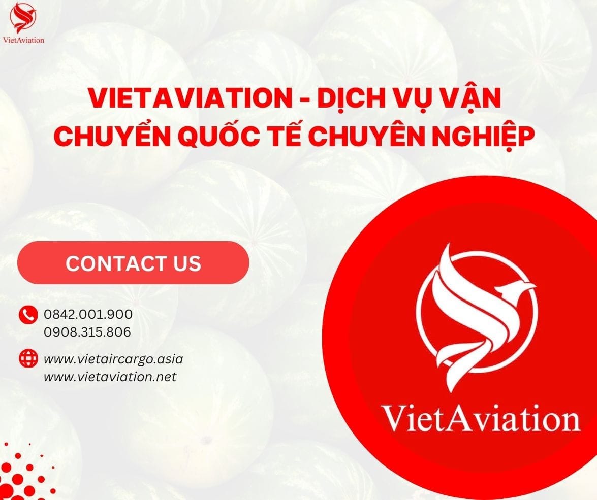 VAC - Đơn vị vận chuyển chuyên nghiệp