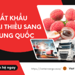 XUẤT KHẨU VẢI THIỀU SANG TRUNG QUỐC