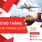 Khô Bò 1 Nắng Gửi Đi Trung Quốc