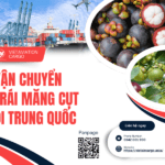 Vận chuyển trái măng cụt đi Trung Quốc