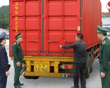 Đại Lý Khai Báo Hải Quan