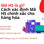 Mã HS là gì? Cách xác định mã HS chính xác cho hàng hóa