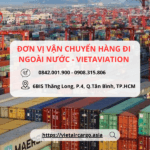 Dịch Vụ Vận Chuyển Hàng Đặc Biệt VietAviation