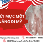 Mực một nắng đi Mỹ – An toàn và nhanh chóng
