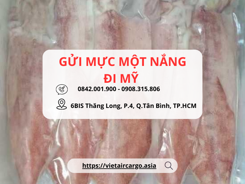 Gửi Mực một nắng đi Mỹ cùng VietAviation
