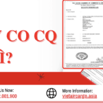 Giấy CO CQ là gì? Giấy CO có được miễn thuế không?