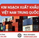 Kim Ngạch Xuất Khẩu Việt Nam Trung Quốc