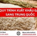 Tiêu Chuẩn Các Loại Gạo Để Xuất Khẩu Gạo Sang Trung Quốc