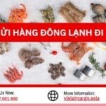 Gửi Hàng Đông Lạnh Đi Mỹ