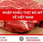 Nhâp Khẩu Thịt Bò Mỹ Về Việt Nam Và Những Điều Cần Biết