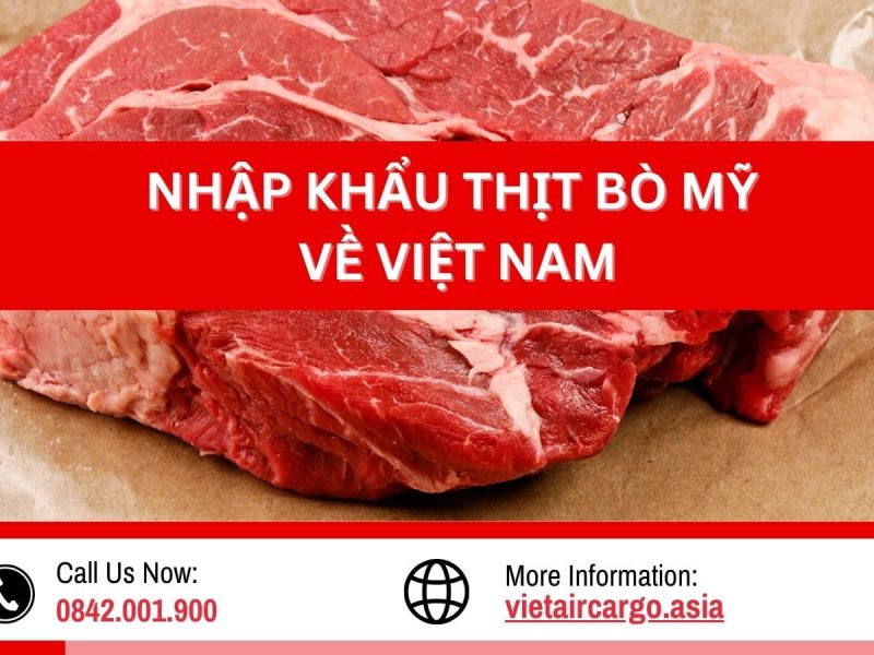 Nhập bò mỹ