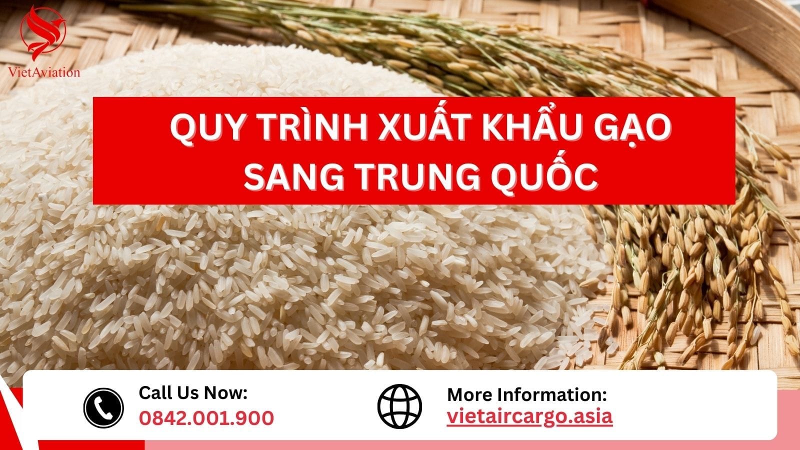 Gạo