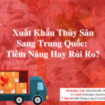 Xuất Khẩu Thủy Sản Sang Trung Quốc: Tiềm Năng Hay Rủi Ro?
