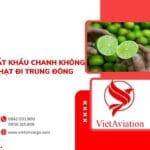 XUẤT KHẨU CHANH KHÔNG HẠT ĐI TRUNG ĐÔNG