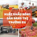 TIÊU CHUẨN XUẤT KHẨU NÔNG SẢN THỊ TRƯỜNG CHÂU ÂU