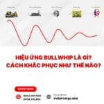Hiệu ứng Bullwhip là gì? Cách khắc phục như thế nào?