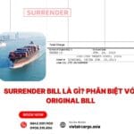 SURRENDER BILL LÀ GÌ? PHÂN BIỆT VỚI ORIGINAL BILL