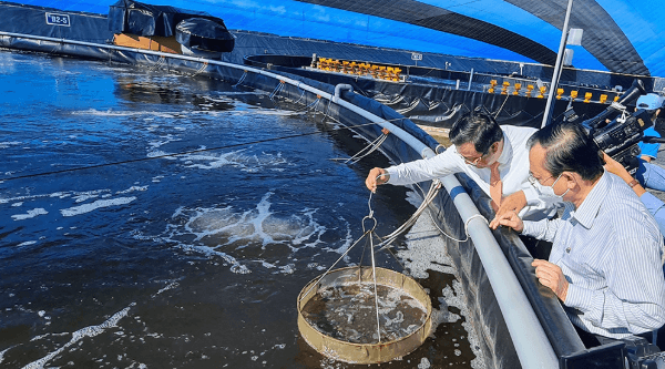 Nuôi trồng thủy sản Trung Quốc