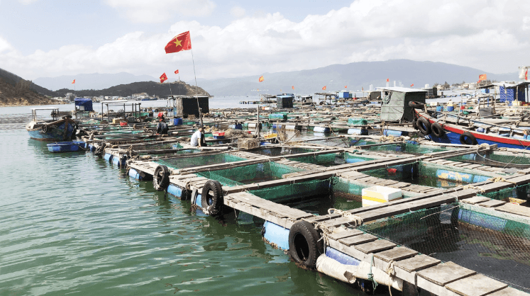 Nuôi trồng thủy sản Việt Nam