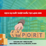 DỊCH VỤ XUẤT NHẬP KHẨU TẠI LẠNG SƠN