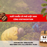 XUẤT KHẨU CÀ PHÊ VIỆT NAM CÙNG VIETAVIATION